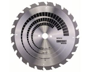 bosch_construct_wood_saegeblatt.jpg