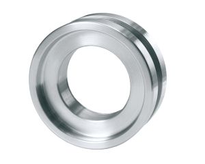 eurobat_glastuergriffmuschel_egs_305_web.jpg