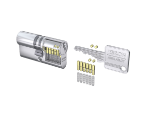 Ikon_SK6Vector_NPZ531